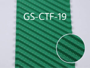 GS-CTF-19