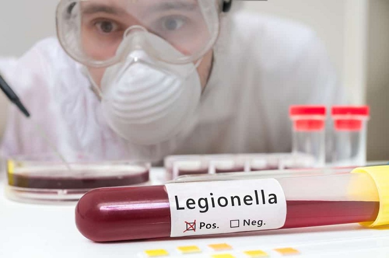 Vi khuẩn Legionella – loại vi khuẩn gây ra bệnh Legionnaires có nguy cơ gây tử vong cao ở người mắc phải